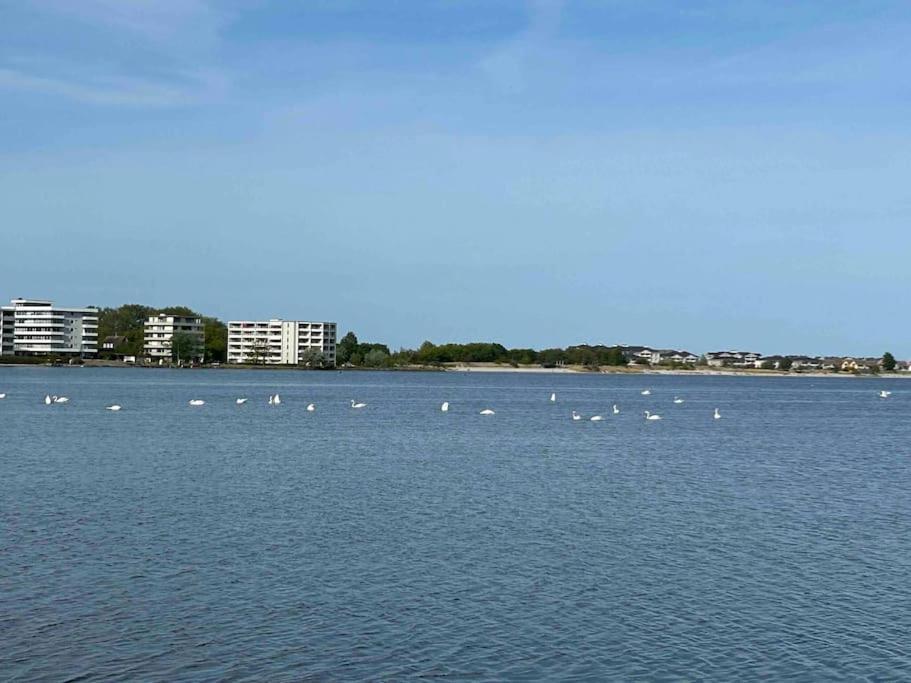 Seaview, Beach, Sunsets, Nature Heiligenhafen Exterior photo
